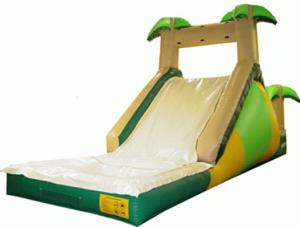 China Inflatble Slide / inflatable pool slide / inflatable palm slide wholesale