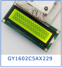 White LEDs Backlight Large VA Black Color Display Screen for Customized Monochrome Segment LCD in Monitor Controller Devices
