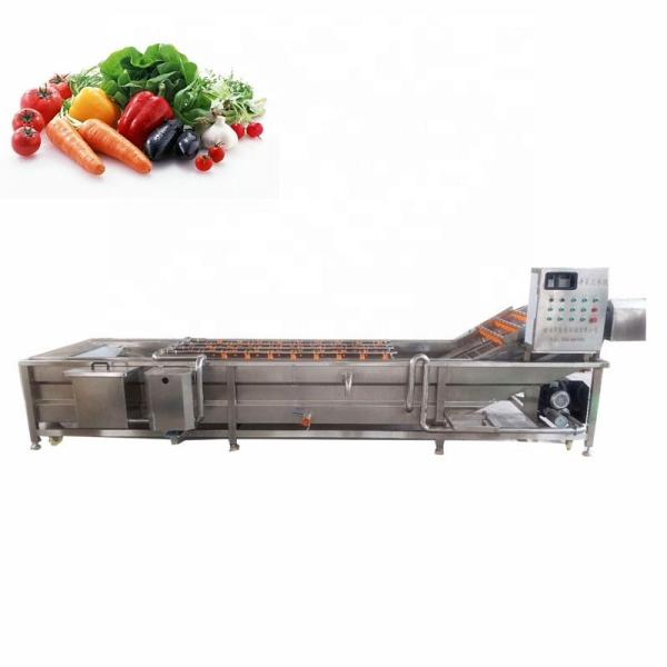 Quality SS304 Multifunctional Potato Ginger Washing And Peeling Machine Automatic for sale