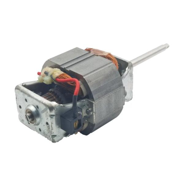 Quality 450W Alternating Current Induction Motor 110V Induction Electric Motor For Soymilk Machine for sale