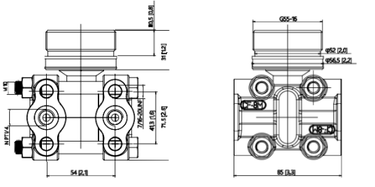BW-DKS-DP300-L1 PA-grade monocrystalline silicon differential pressure sensor