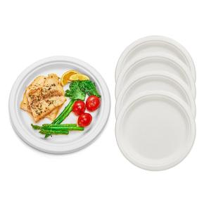 China Microwaveable Eco Friendly Packaging Compostable Sugarcane Plates Biodegradable Pulp Molded wholesale