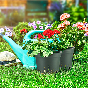 plastic planter