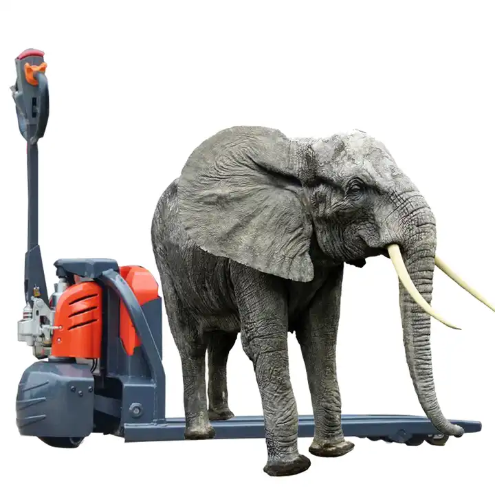 2023 Curtis Controller 1.5 t 24V Min Electric Pallet truck