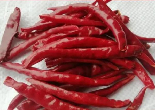 Quality Tasty Spice Seasoning Yunnan Dried Red Chilli Peppers Non - Sulfur for sale