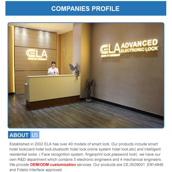 OEM ODM Fingerprint Door Lock Black Smart Home Gate Lock With Surveillance Camera