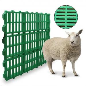 Animal Farming Polypropylene Plastic Slat Flooring For Sheep Goat Pig