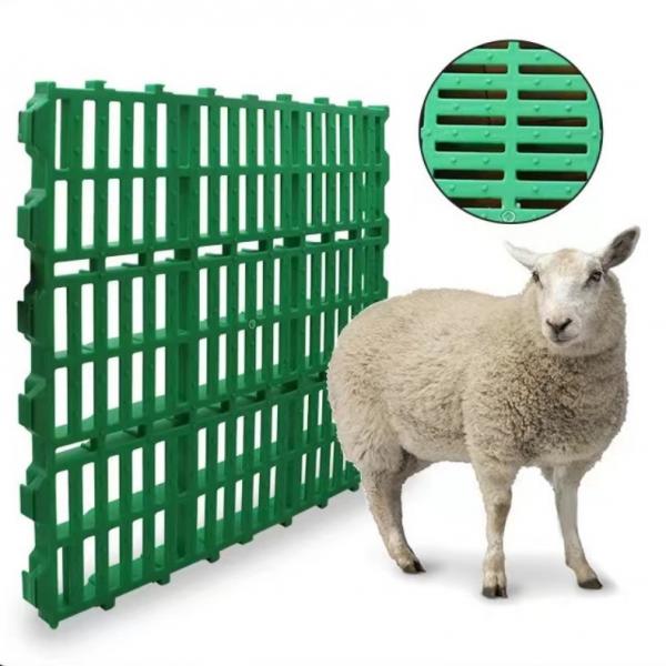Quality Animal Farming Polypropylene Plastic Slat Flooring For Sheep Goat Pig for sale