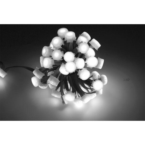 0.3W RGB 20mm Waterproof LED Point Light DC5V 12V SMD5050 IP67