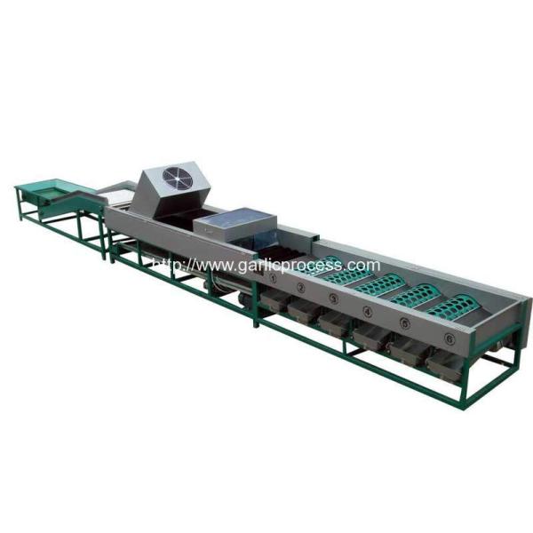 automatic-garlic-dry-cleaning-and-sorting-machine