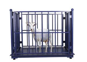 Portable 3T Livestock Weighing Scales With Load Cell