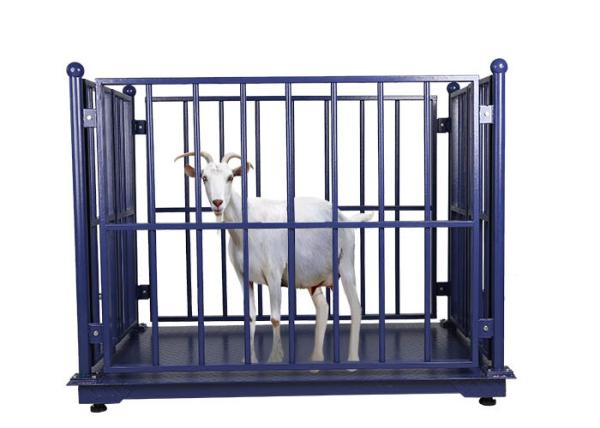 Quality Portable 3T Livestock Weighing Scales With Load Cell for sale