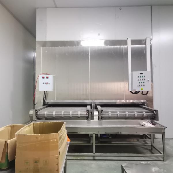 380V 50Hz Individual Quick Freezing Machine Fast Cooling Quick Freezing Tunnel