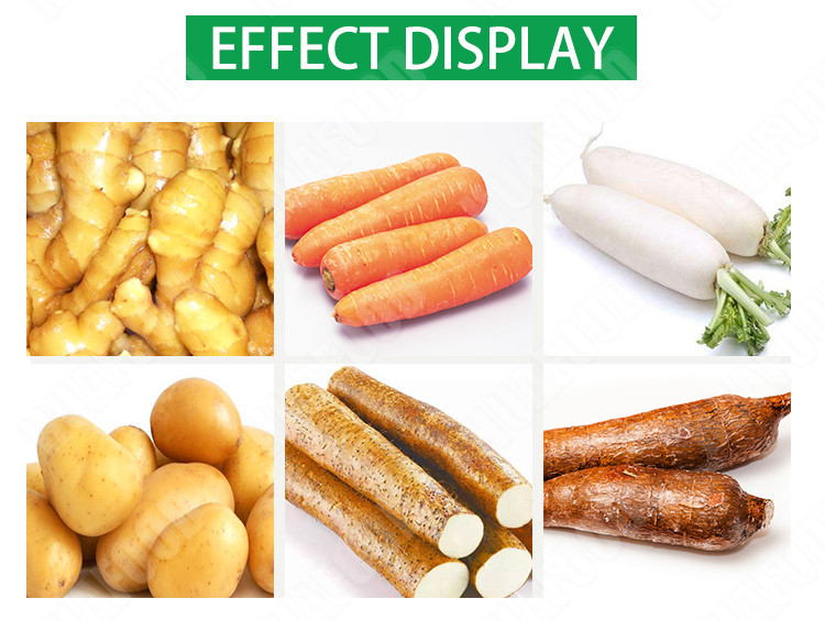 Vegetable Washing And Peeling Machine Potato/Turmeric/Cassava Peeler Machine