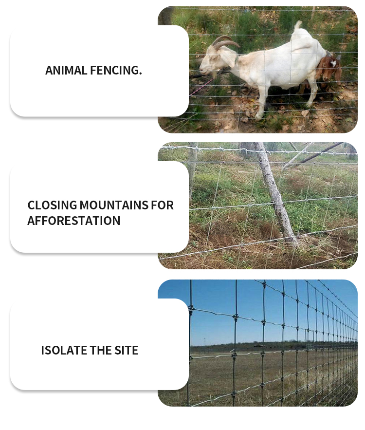 Anping manufacturers directly sell galvanized rust-proof wire mesh breeding fence fence cattle and sheep block