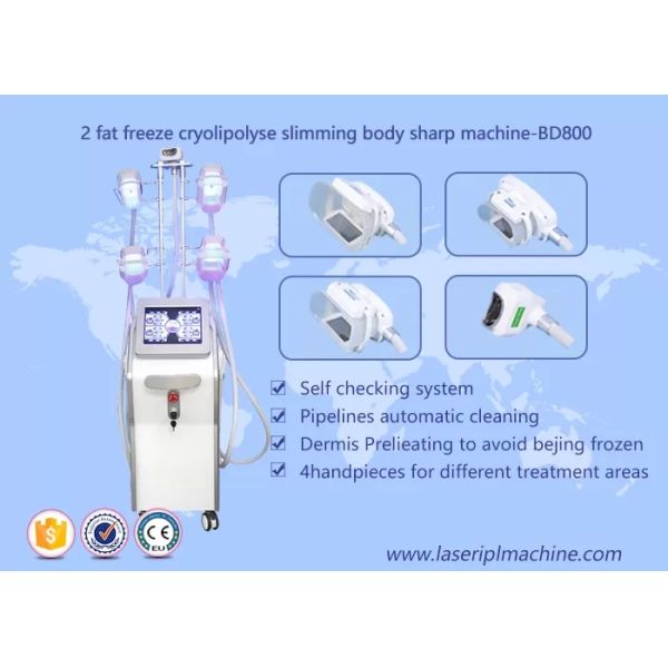 40k Electromagnetic Cryolipolysis Slimming Machine Muscle Gain Frozen Gain