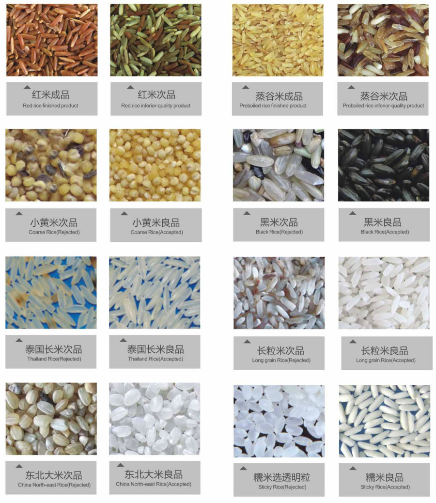 Automatic rice color sorting machine Rice Color Sorting Machine