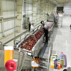 China SUS 304 Apple Juice Processing Line Turnkey Projects Automation wholesale