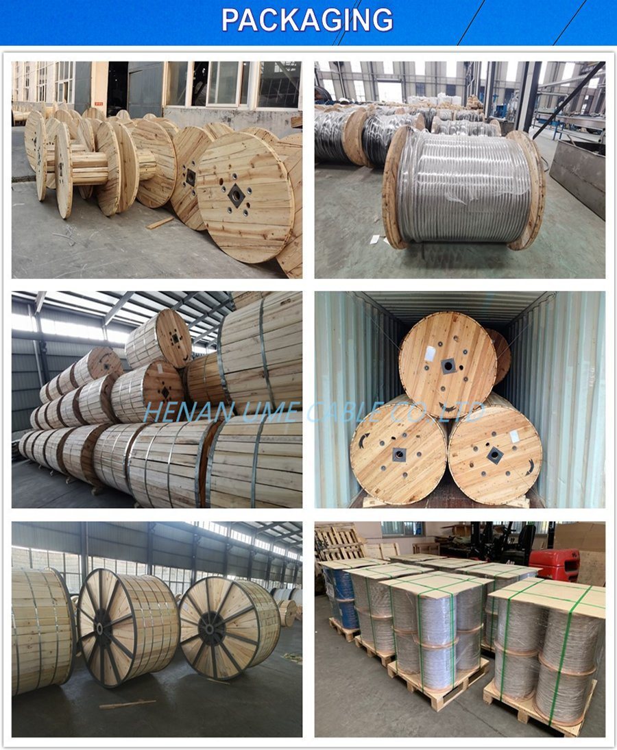 Electrical Power Transmission Lines AAC AAAC ACSR Acar ACSR Acasr Aluminum Conductor Power Cable