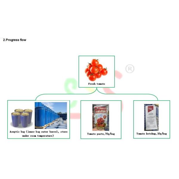 Glass Bottle Tomato Jam Paste Sauce Processing Line With PLC CONTROL SYSTEM