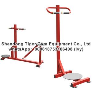 China Gym Fitness Equipment Stand Torso exercise machine on sale