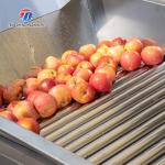 280KG Lemon screening and grading machine special stainless steel roller fruit