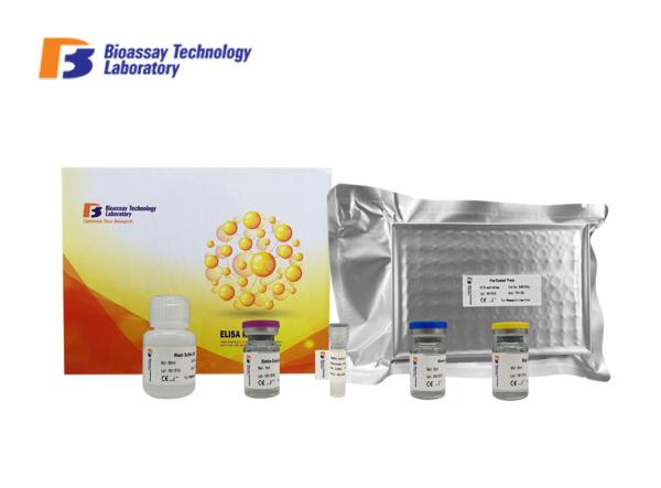 Quality Customized Mouse Interferon Gamma ELISA Kit  High Sensitive Mouse IFNG ELISA Kit for sale