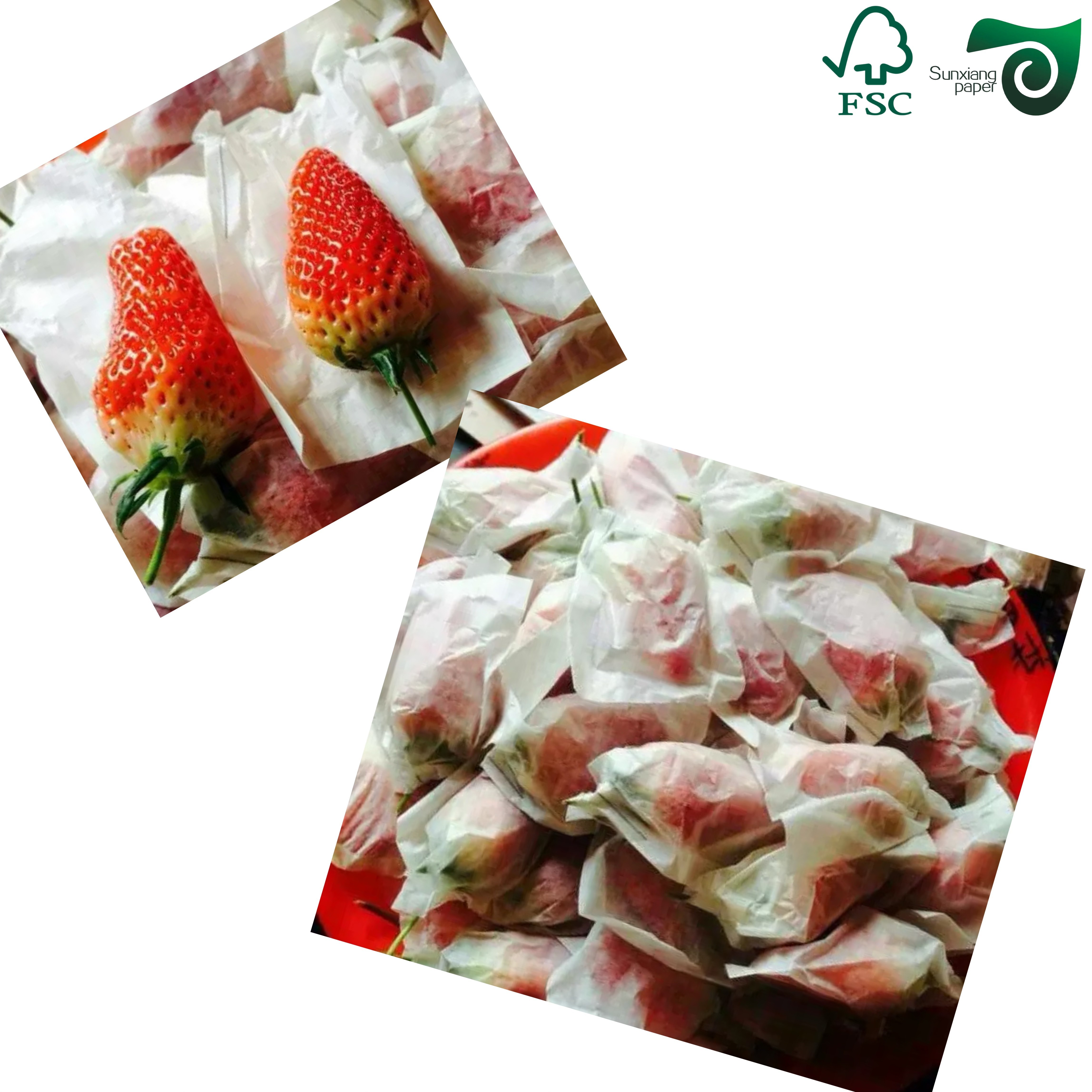 17gsm Lightweight Colorful Tissue Wrapping Paper 50cm 70cm Ideal For Fruit Packaging FSC