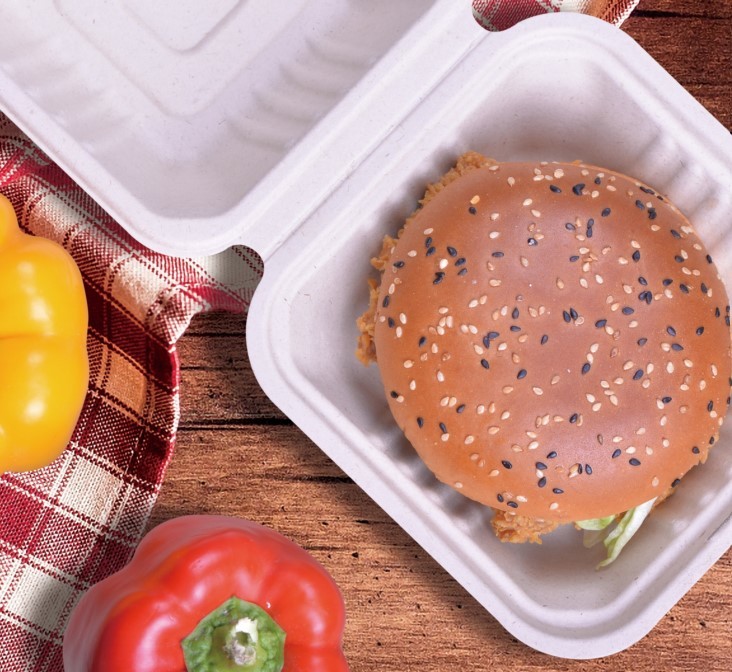 6" Hamburger Biodegradable Sugarcane Plates Restaurants