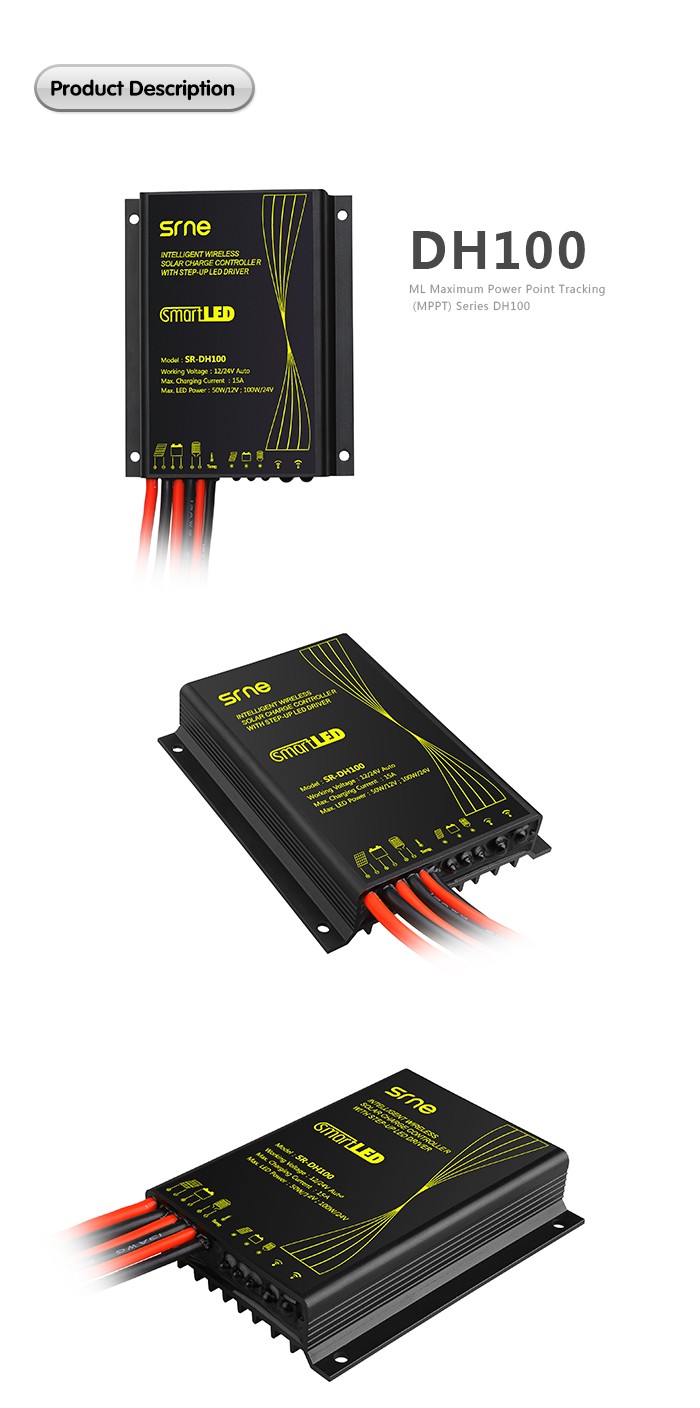 3-DH100_01.jpg