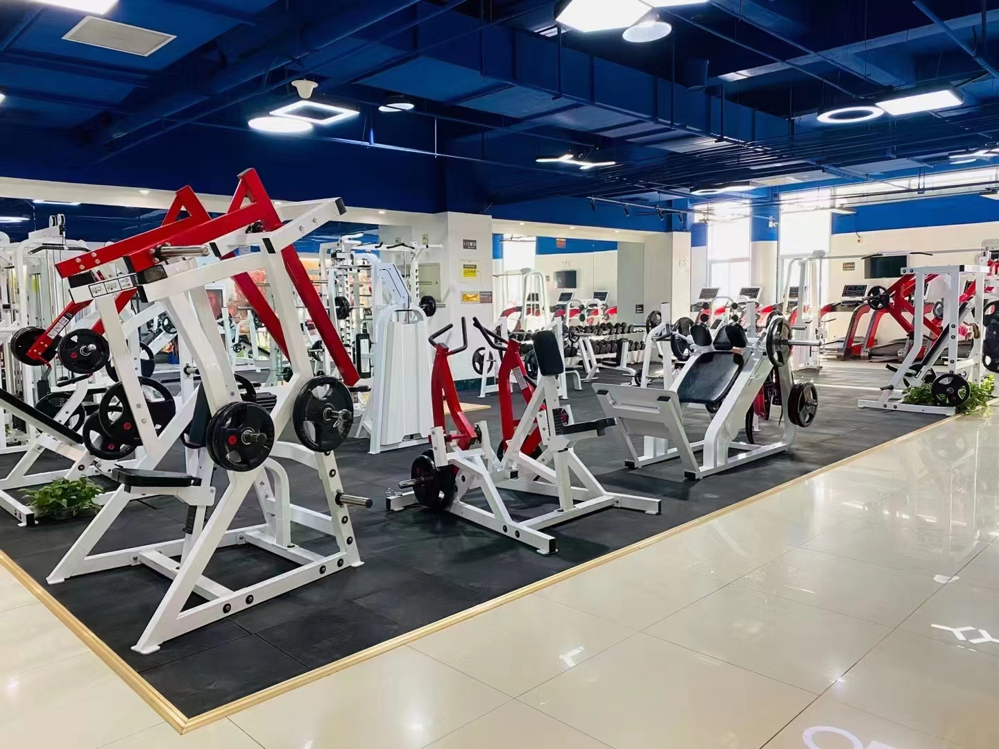 Home T Bar Row Commercial Plate Loaded Arms Back Workout Incline Level