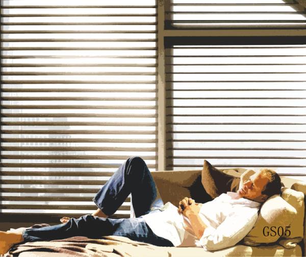 Quality Modern motorized/manual soft shutters window grey Shangri-la blinds customized double layer curtain for sale