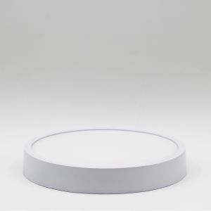China Round Surface Mounted Small LED Panel Light With Simple Appearance wholesale