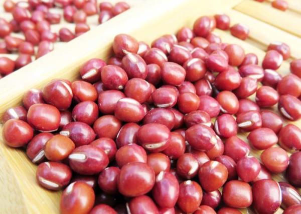 Quality Edema Reduction Main Agricultural Products Vigna Umbellata Red Adzuki Beans for sale