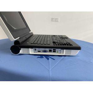 OEM Doppler Veterinary Ultrasound Machine Scanner Pig Cat Vet