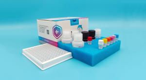 Rapid Nitrofurantoin (AHD) ELISA Test Kit High Recovery Low Detection Limit