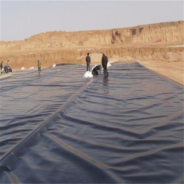 Quality Asian Design Style 1mm Black HDPE Geomembrane Dam Liner for Environmental Protection for sale