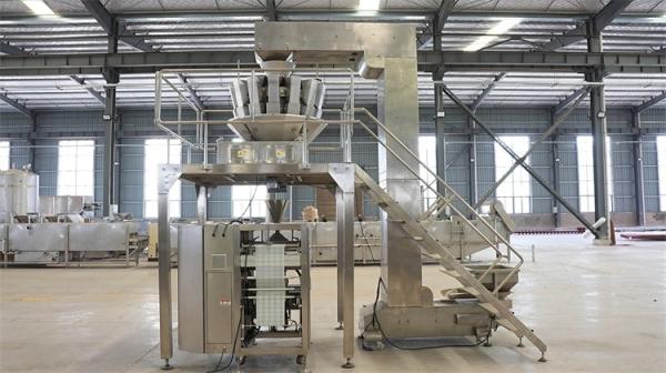 Quality Sss Dried Fruit Line High-Speed Processing 1-100t/h for sale