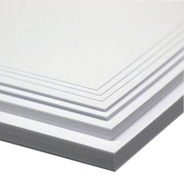 Uncoated White Folding Box Board C1S FBB Jumbo Roll for Eco-Friendly Packaging