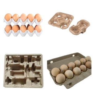 Automatic Small Egg Tray Making Machine With Egg Carton Mold