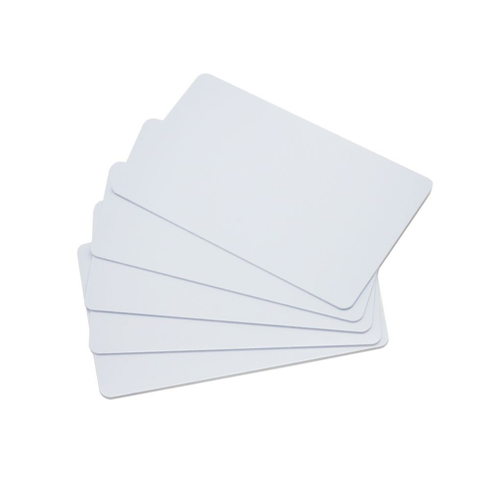 125khz LF Low Frequency RFID Card Access Control RFID Card EM4100 EM4200 TK4100