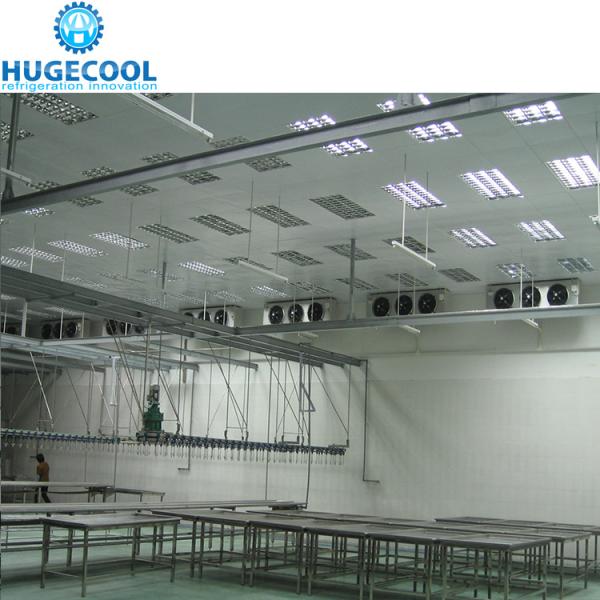 Meat cold room with shelving