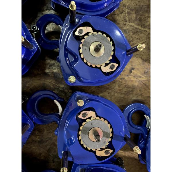 Vital Type Manual Chain Block Lifter Hoist 2T Single Chain