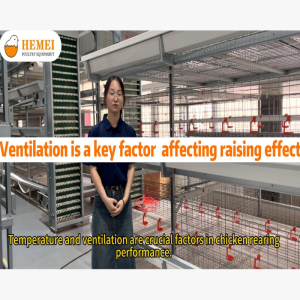 Ventilation is a key factor affecting raising effect