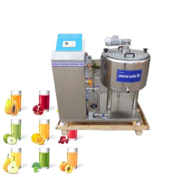 Quality Vertical Factory Price Small Juice Pasteurization Machine Food Factory for sale