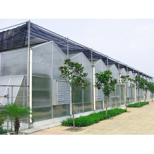 Large Aluminium Polycarbonate Greenhouse Gutter Height 3.0-6.0m Easy Assemble