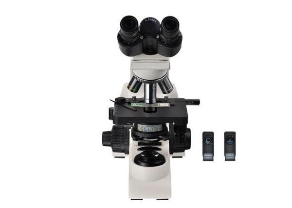 Quality High Resolution 40x Lens Microscope / Binocular Compound Microscope for sale