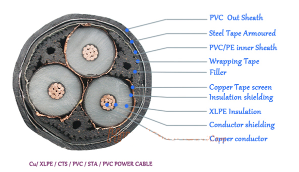 Underground Application 3Core 50MM2 CU/AL XLPE Low Voltage Power Cable with PVC Insulation