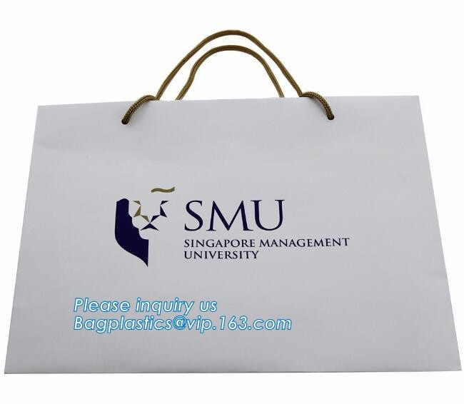 Custom paper bag with handle coated white paper bag printing pattern flower carrier bag,Flower carrier paper bags with d
