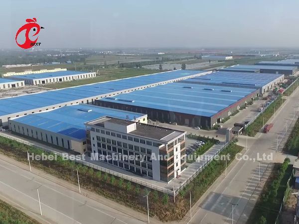 A H Type Automatic Laying Chicken Poultry Farming Cage System In Africa Market Iris